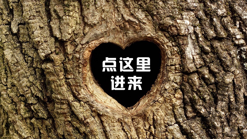 树洞 | 写信告诉我，今夜海是什么颜色！